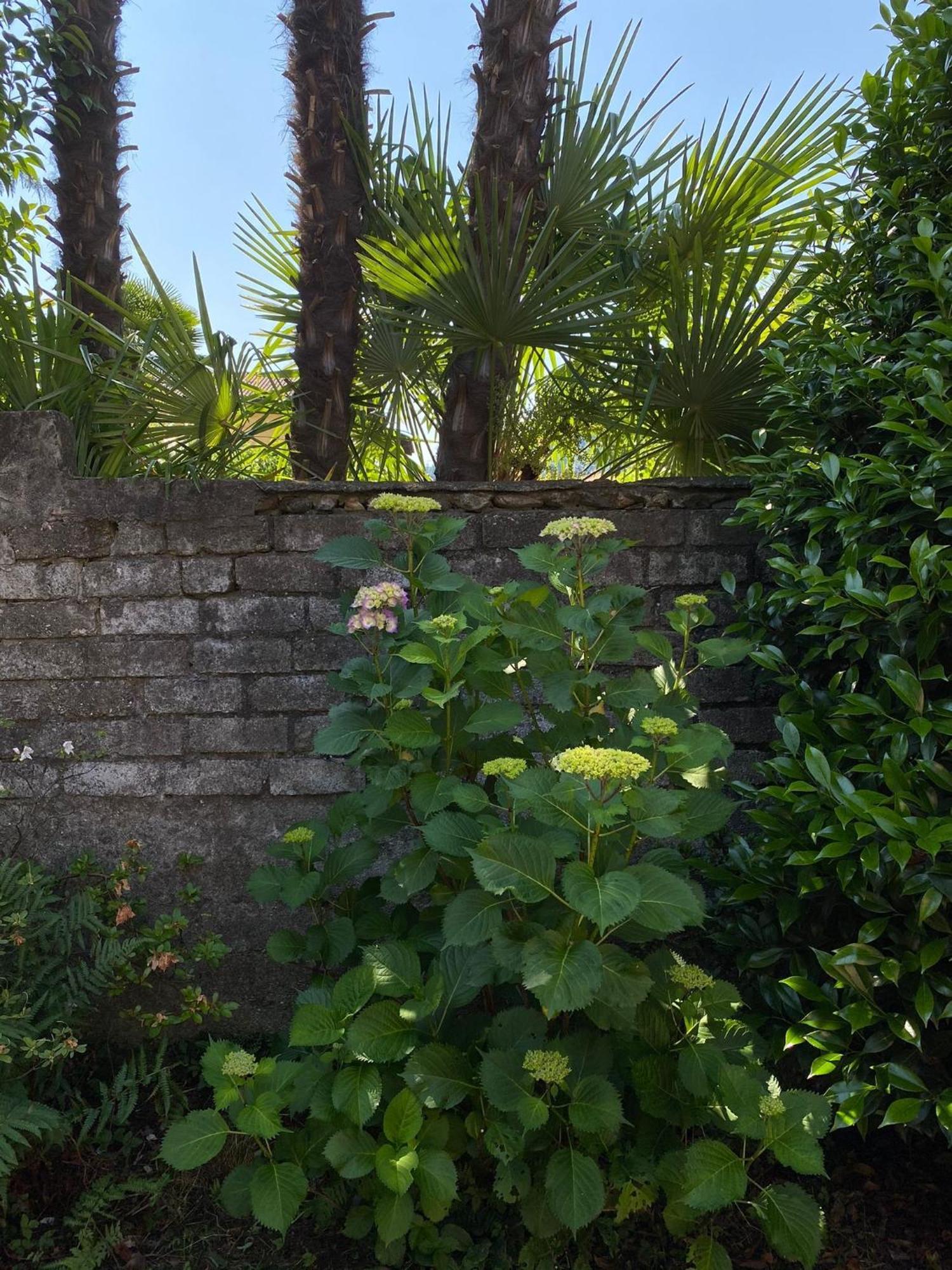 Villa Casa Tranquilla Cannobio Exterior foto